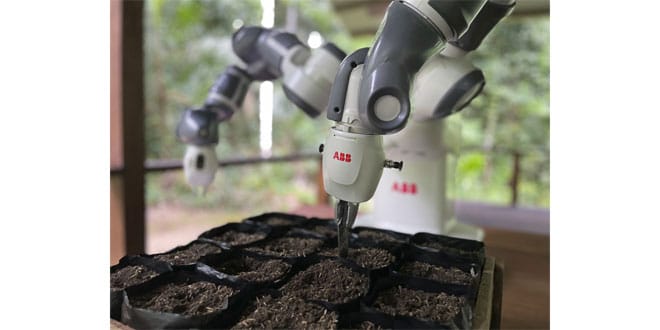 World’s most remote robot automates Amazon reforestation project